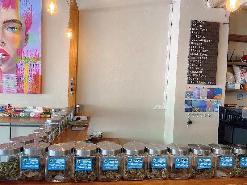 Koh Tao Blue Gelato Cannabis Shop Oganic Farm