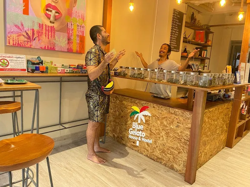 Koh Tao Blue Gelato Cannabis Shop Oganic Farm
