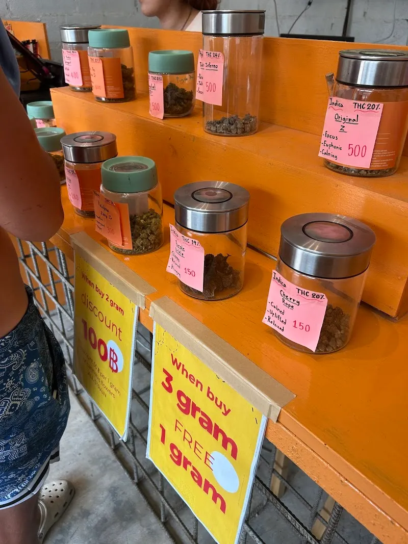 Natural Artist Farm Dispensary Sairee กัญชา​ 大麻店 カナビス 대마초 конопля قنب حشيش Marijuana Weed Ganja