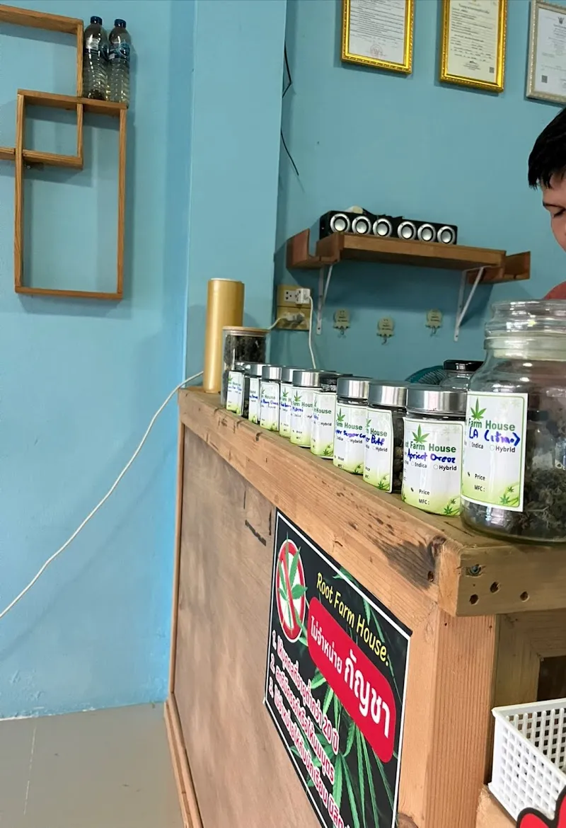 Siamese Cloud Dispensary. by Root Farm House.