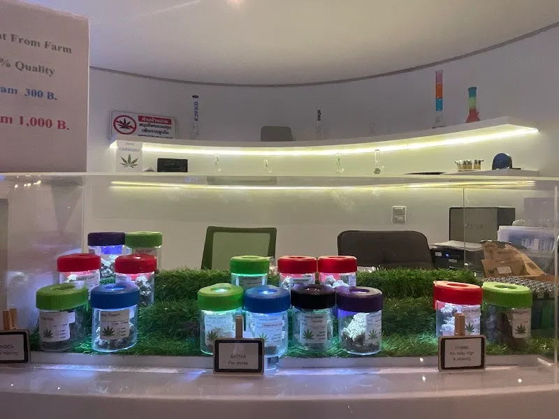 Termsuk cannabis & hamp From Farm เติมสุขแคนนาบิส