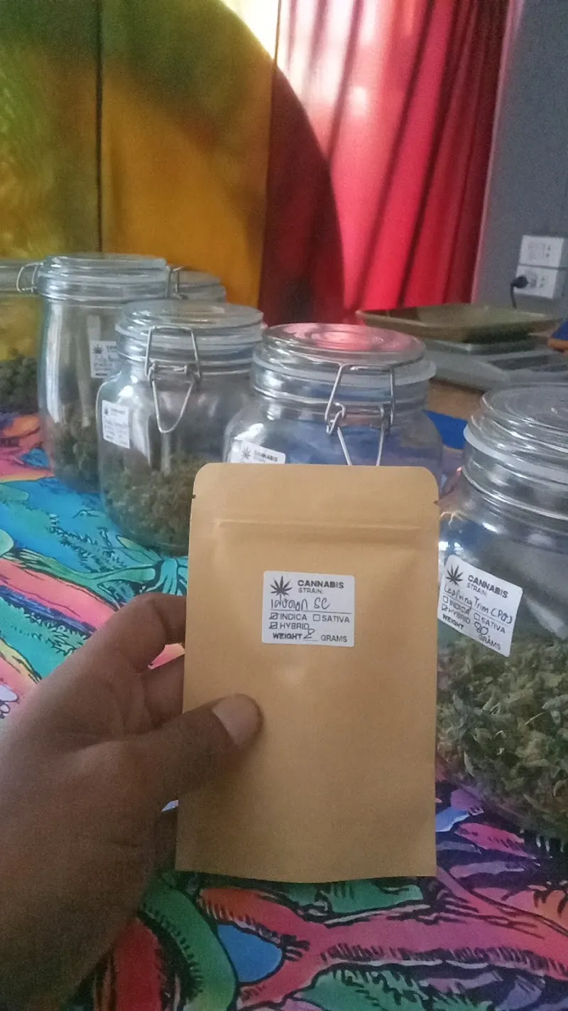 Weed To The Moon