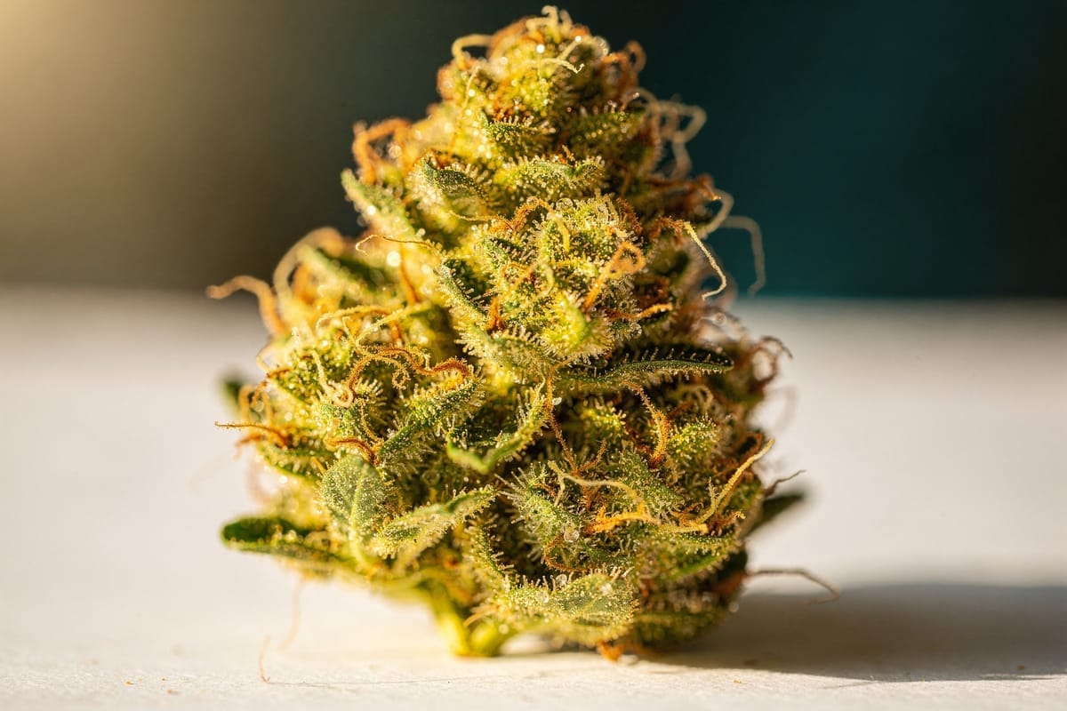 Amnesia Haze